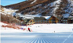 累計(jì)培養(yǎng)具有發(fā)展?jié)撔@足球訓(xùn)練教學(xué)力的雪上運(yùn)動人才300余名